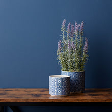 Load image into Gallery viewer, Ornamental Blue & White Ceramic Pots