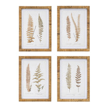 Load image into Gallery viewer, Wood Framed Fern Prints