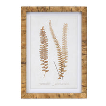 Load image into Gallery viewer, Wood Framed Fern Prints