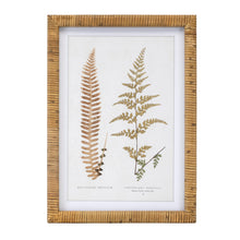 Load image into Gallery viewer, Wood Framed Fern Prints