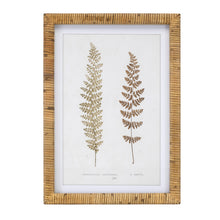 Load image into Gallery viewer, Wood Framed Fern Prints