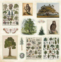 Load image into Gallery viewer, Collage of vintage-style stickers featuring trees, owls, and butterflies on a beige background.