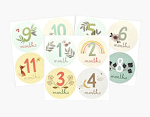 Load image into Gallery viewer, Baby milestone stickers with months printed on them against a white background