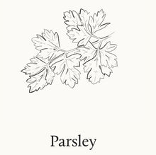 Load image into Gallery viewer, Luminescent Lemon Leaf Dishwashing Liquid – Citrus Fresh, Biodegradable Formula