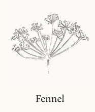 Load image into Gallery viewer, Luminescent Lemon Leaf Dishwashing Liquid – Citrus Fresh, Biodegradable Formula