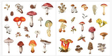 Load image into Gallery viewer, Colorful mushroom stickers