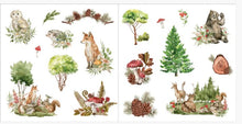 Load image into Gallery viewer, Colorful woodland animals, mushrooms, pinecone stickers