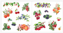 Load image into Gallery viewer, colorful fruit, strawberries, blueberries, cherries, peaches stickers