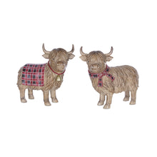 Load image into Gallery viewer, Two Highland cows
