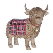 Load image into Gallery viewer, Highland cow detail
