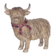 Load image into Gallery viewer, Highland cow close up 
