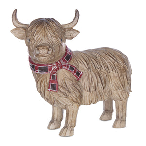 Highland cow close up 
