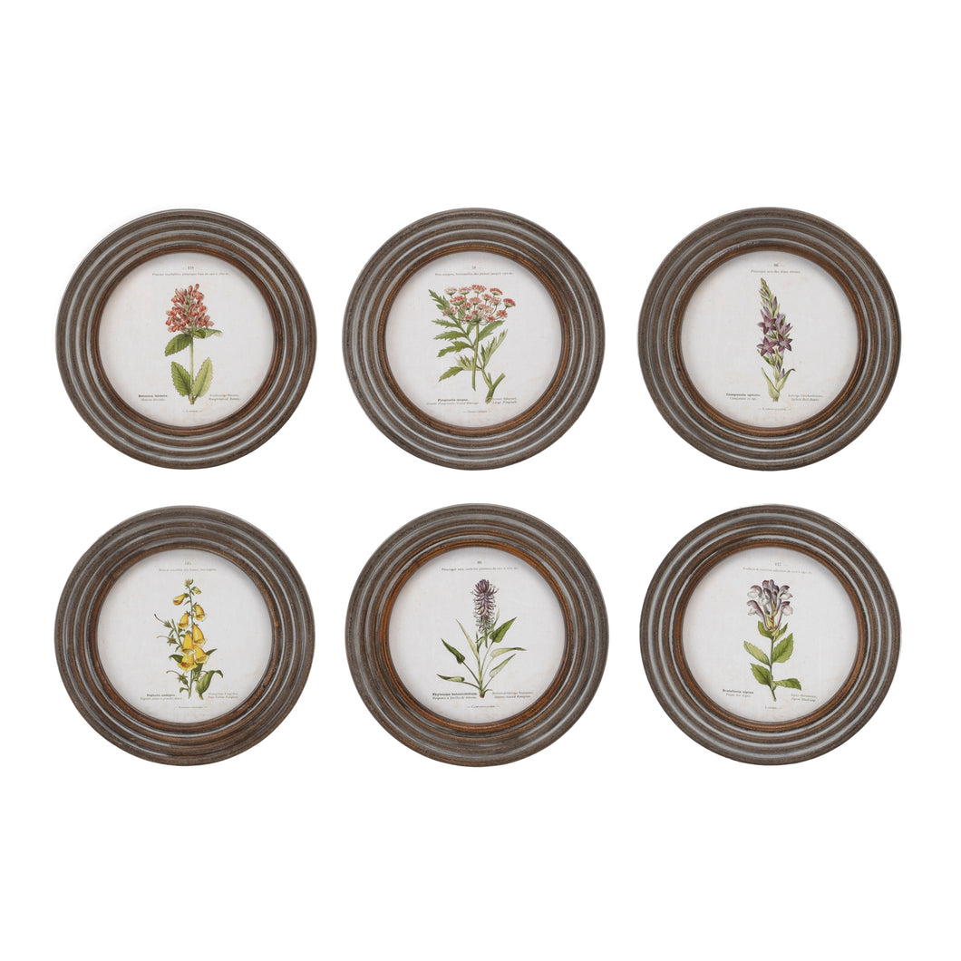 Framed Floral Print Set