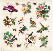 Load image into Gallery viewer, Collection of vintage-style bird and nature stickers on a beige background
