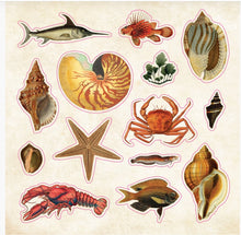 Load image into Gallery viewer, Collection of vintage-style sea creature stickers
