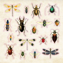 Load image into Gallery viewer, Open sticker book showing variety of vintage inspired illustrations
