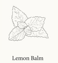 Load image into Gallery viewer, Luminescent Lemon Leaf Dishwashing Liquid – Citrus Fresh, Biodegradable Formula
