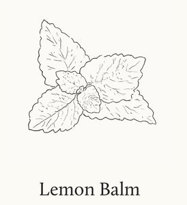 Luminescent Lemon Leaf Dishwashing Liquid – Citrus Fresh, Biodegradable Formula