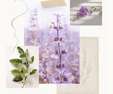 Load image into Gallery viewer, Lavender Bar Soap | Moisturizing with Jojoba Oil, Honey &amp; Vitamin E
