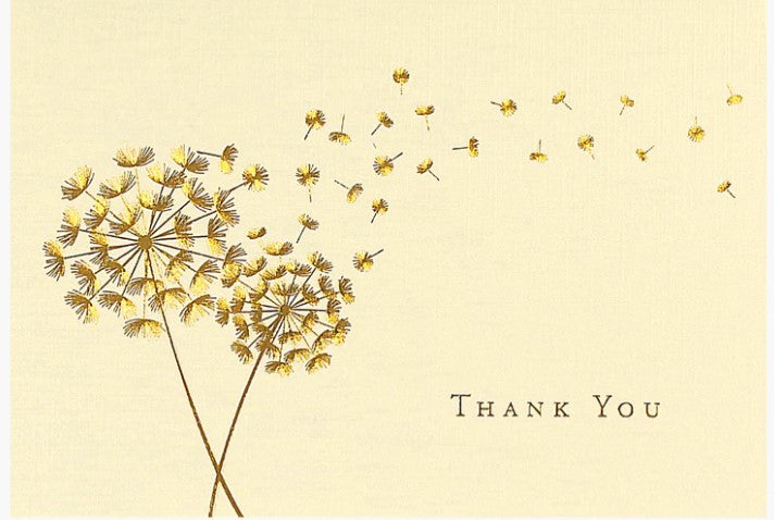 Dandelion Wishes Thank You Notes boxed stationery set with envelopes